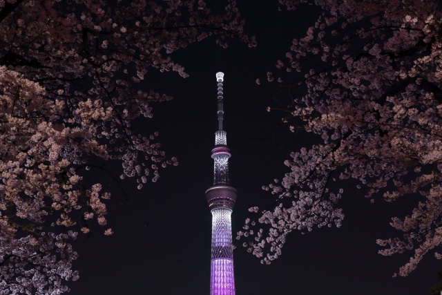 lightedup_sakura_with_tokyoskytree