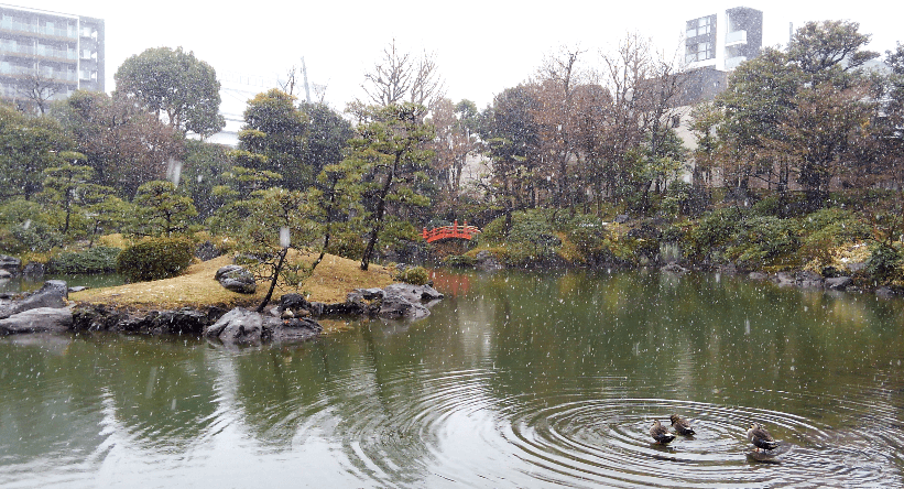 Former Yasuda garden – winter