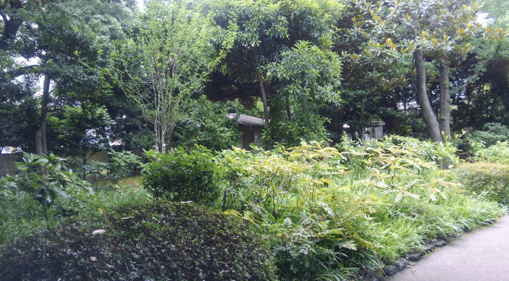 Former Yasuda garden – Japanese garden near the Edo Tokyo Museum Ryogoku Kokugikan