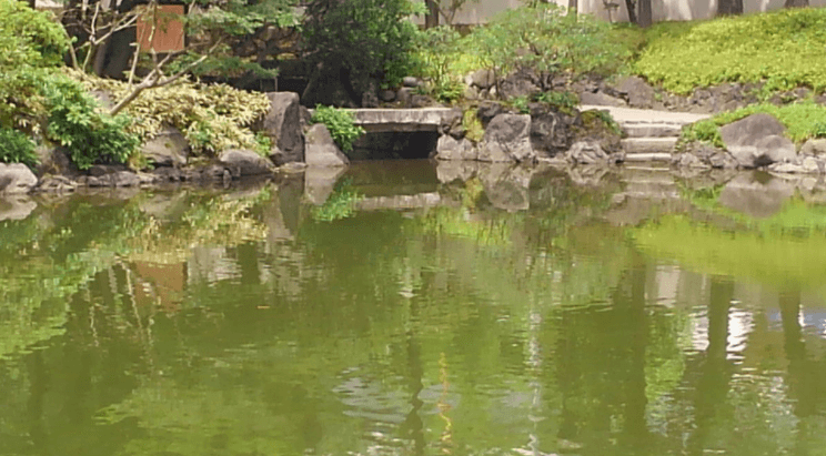 Former Yasuda garden – Japanese pond