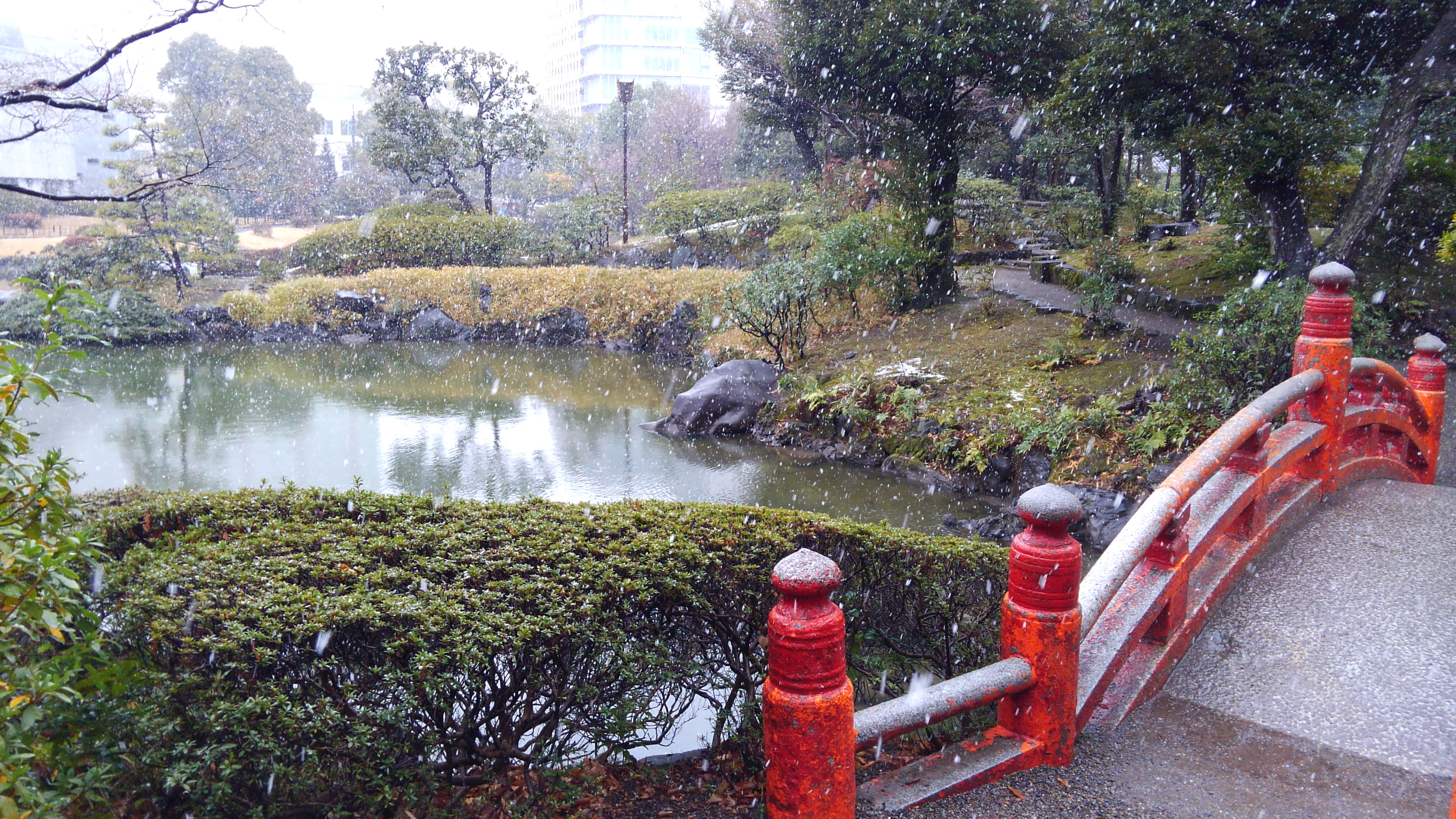 旧安田庭園 両国国技館 江戸東京博物館近くの静かな名園 東京午前5時