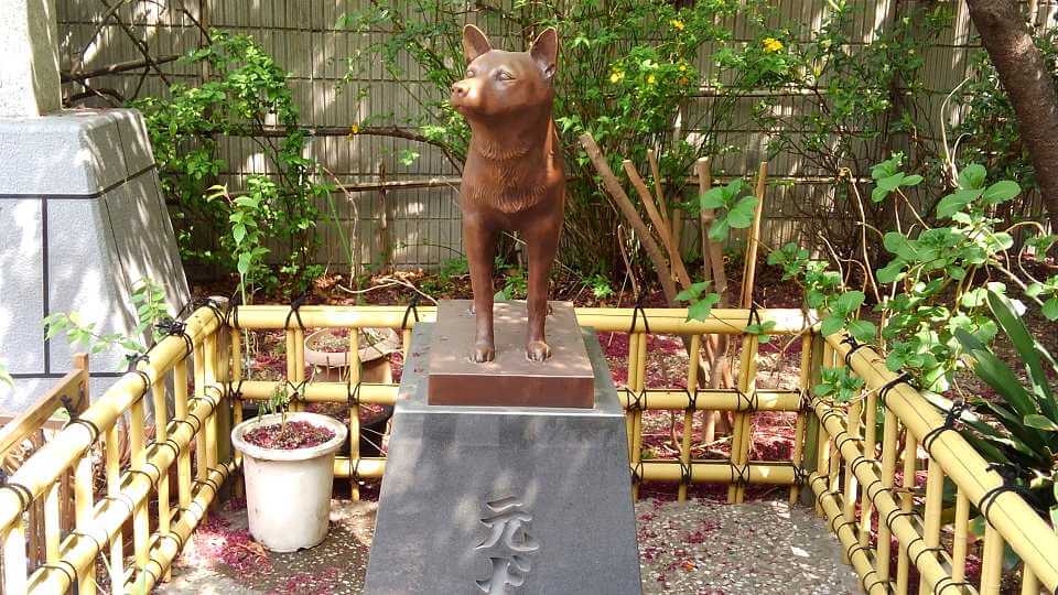 藏前神社-元犬